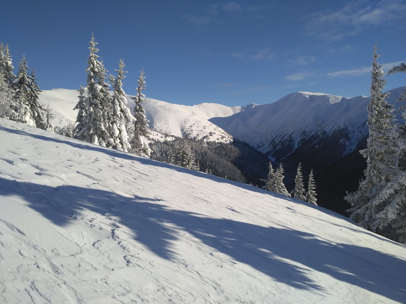 skalarna-velicina-skalka-1980-mnm-