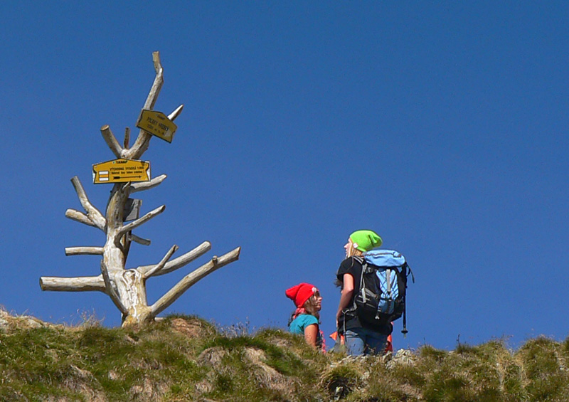 velicka-dolina-a-vychodna-vysoka